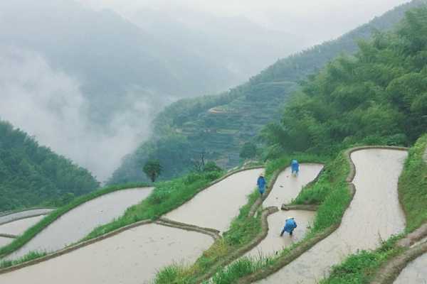 W020240418372390680596.png W020240418372390680596.png