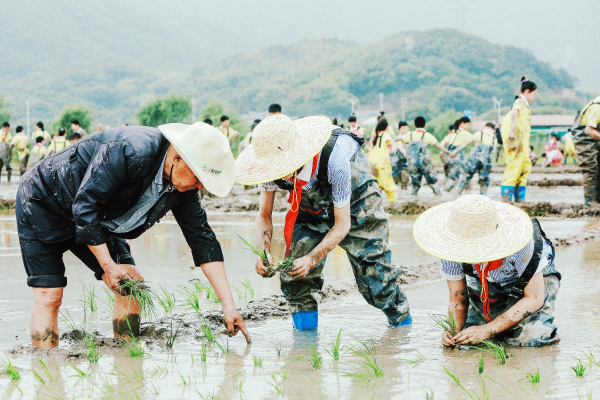 圖片7.png 圖片7.png